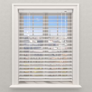 FR Venetian HB50 Scott Aluminium HB50 Scott 0100 FV B